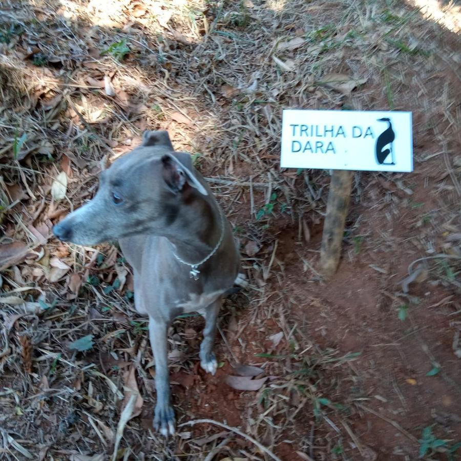 Casa Do Galgo Apartment เซาเบนโตโดซาปูไค ภายนอก รูปภาพ